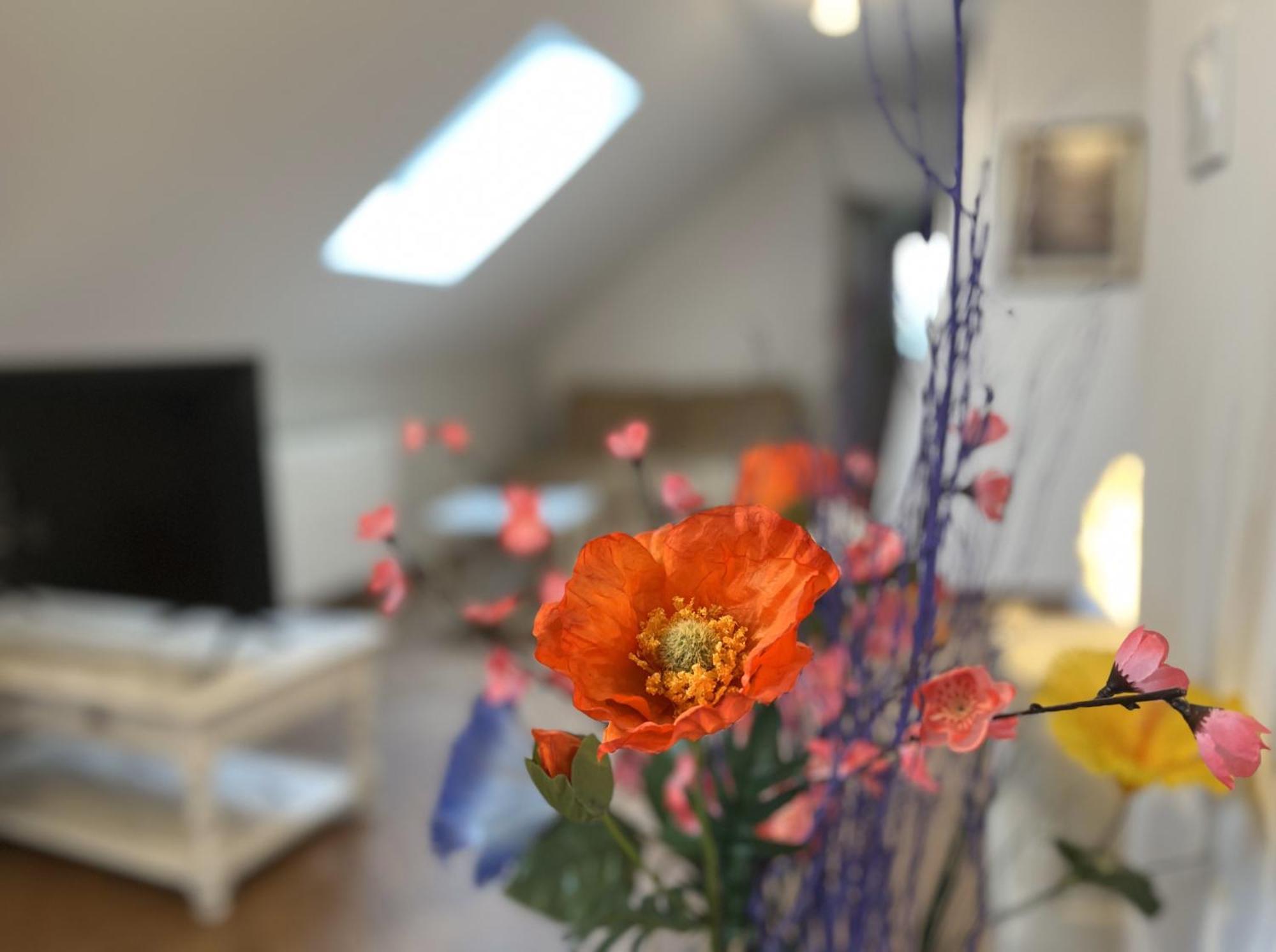 Le Studio De Mamy Jacquotte Centre Cour-Cheverny Εξωτερικό φωτογραφία